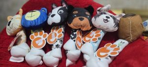 Mordedor Inspiração BullDog Francês