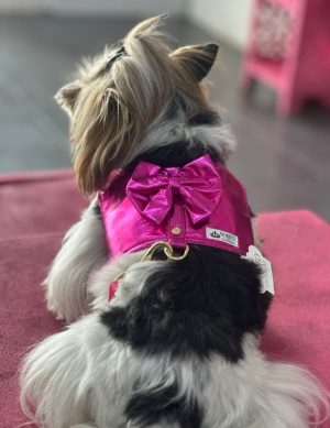 Coleira for you pink ou rosa