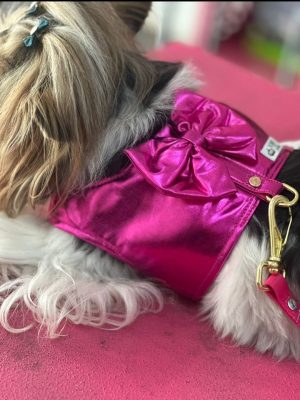 Coleira for you pink ou rosa