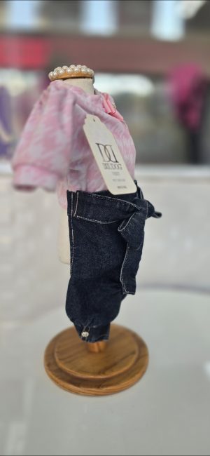 Calça Jeans com camiseta Dudog PP