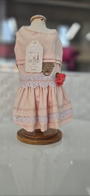 Vestido Fresquinho Dudog P