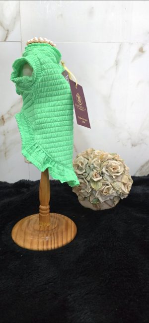 Vestidinho Anarruga Summer Verde 
com proteção Uv