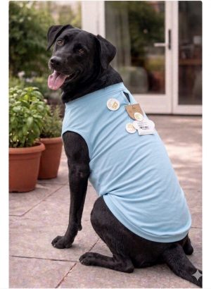 Blusa Térmica Maxi Azul Bebe
proteção UV
(tamanhos grandes)