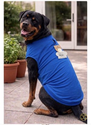 Blusa Térmica Maxi Royal
proteção UV
(tamanhos grandes)